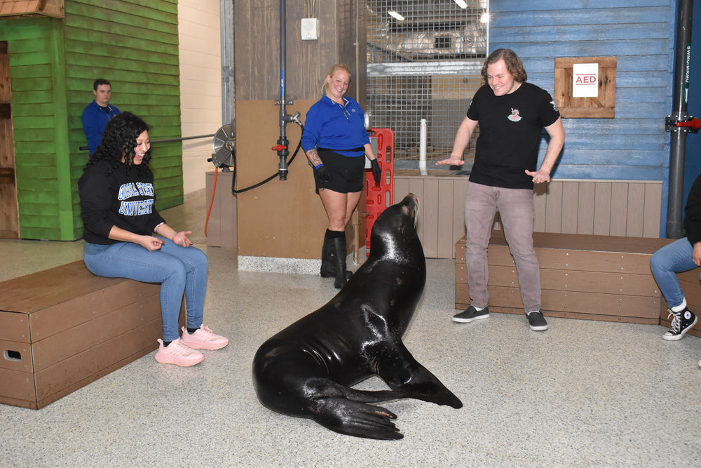 Ocean Conservation Mission