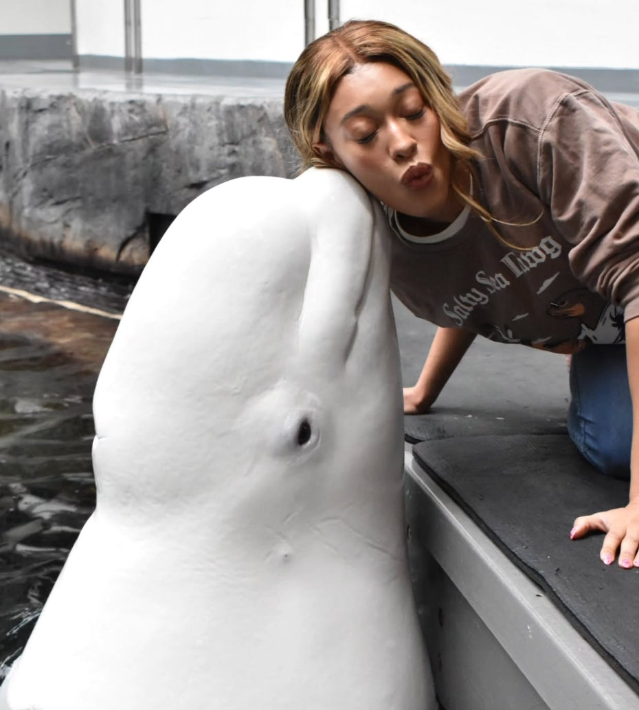 Beluga whale at the Georgia Aquarium interacting with visitor, supporting marine conservation efforts
