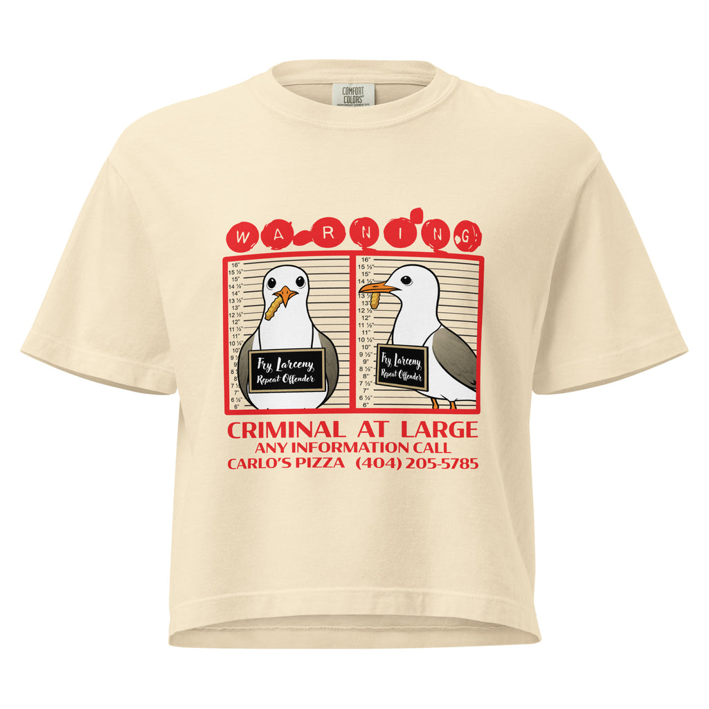 "Criminal At Large" ivory women's heavyweight boxy tee, front flat lay, featuring seagull "WARNING" mugshot graphic with "Fry Larceny, Repeat Offender" police lineup – 17th & Surf x Carlo's Pizza