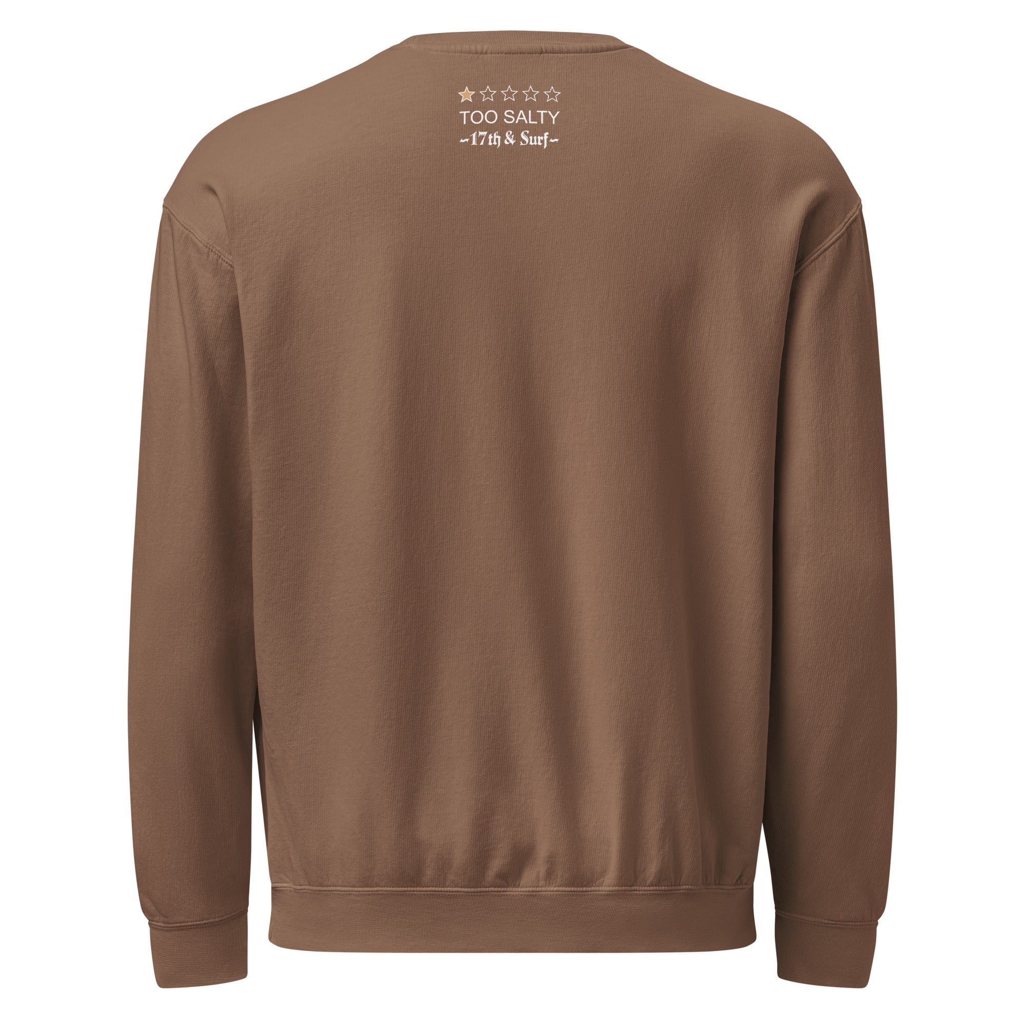 Model wearing "Salty Sea Dawg" lightweight crewneck sweatshirt in espresso, back view with "TOO SALTY" one-star rating and "17th & Surf" wordmark below the collar – 17th & Surf