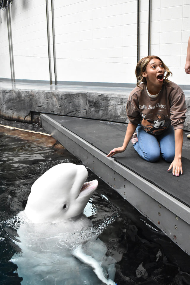 Ocean Conservation Mission